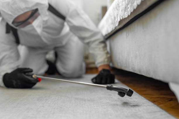 Professional Cockroach Control technician working in Holiday, FL