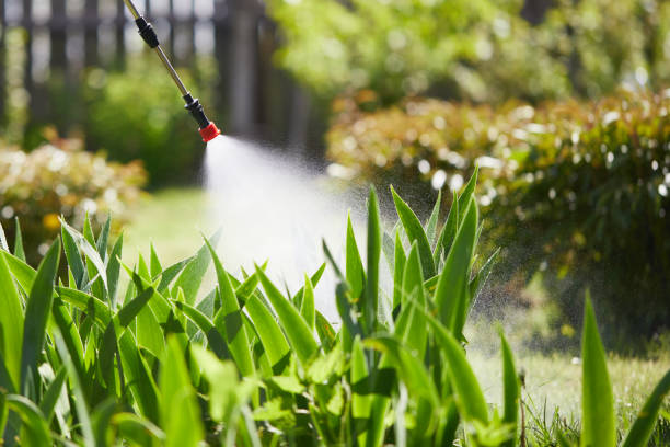 24/7 Emergency Cockroach Control experts in Holiday, FL
