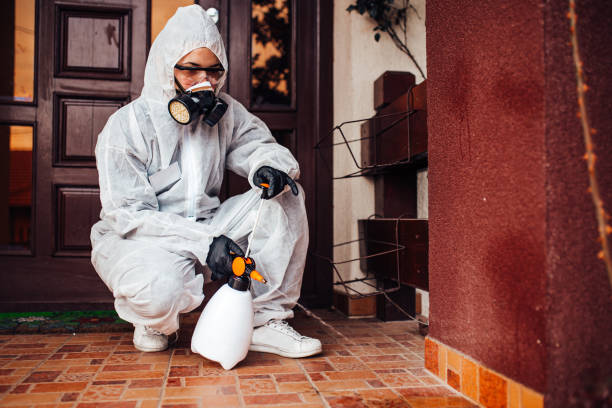 Reliable Cockroach Control contractor in Holiday, FL by Nex Pest Control