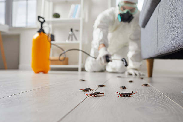 Affordable Cockroach Control solutions in Holiday, FL